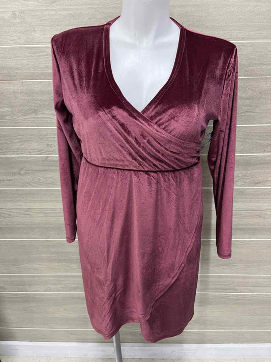 Serra Size 10/12 Burgundy Womens Dress