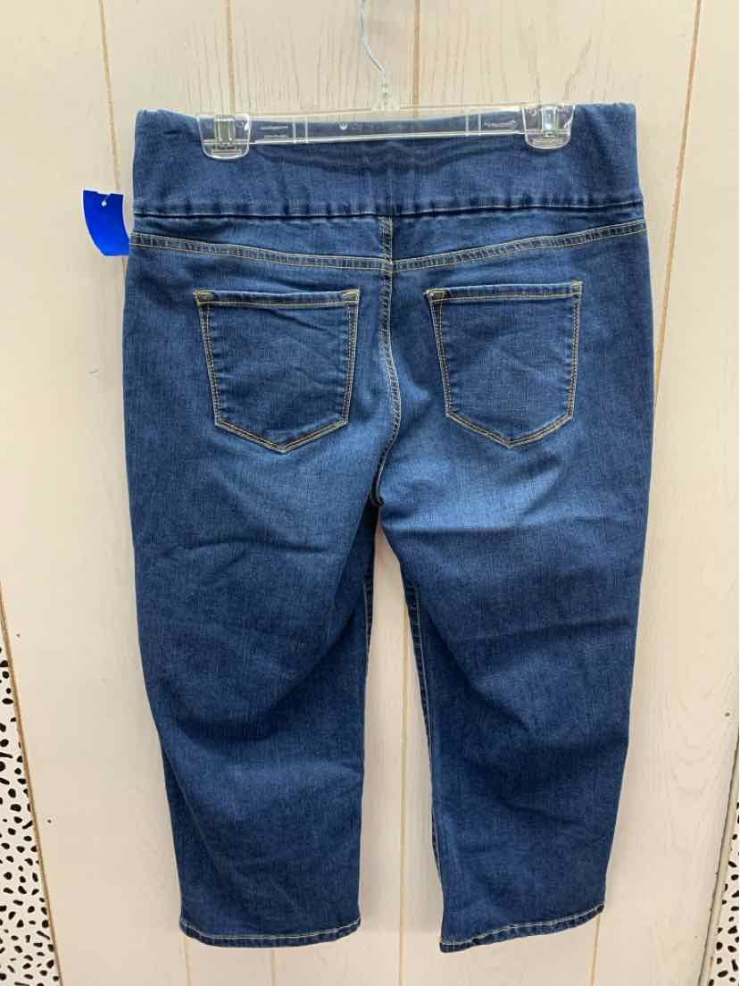 Gloria Vanderbilt Blue Womens Size 12 Jeans