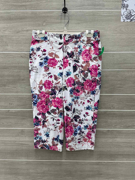 SJB Size 4 White Womens Pants