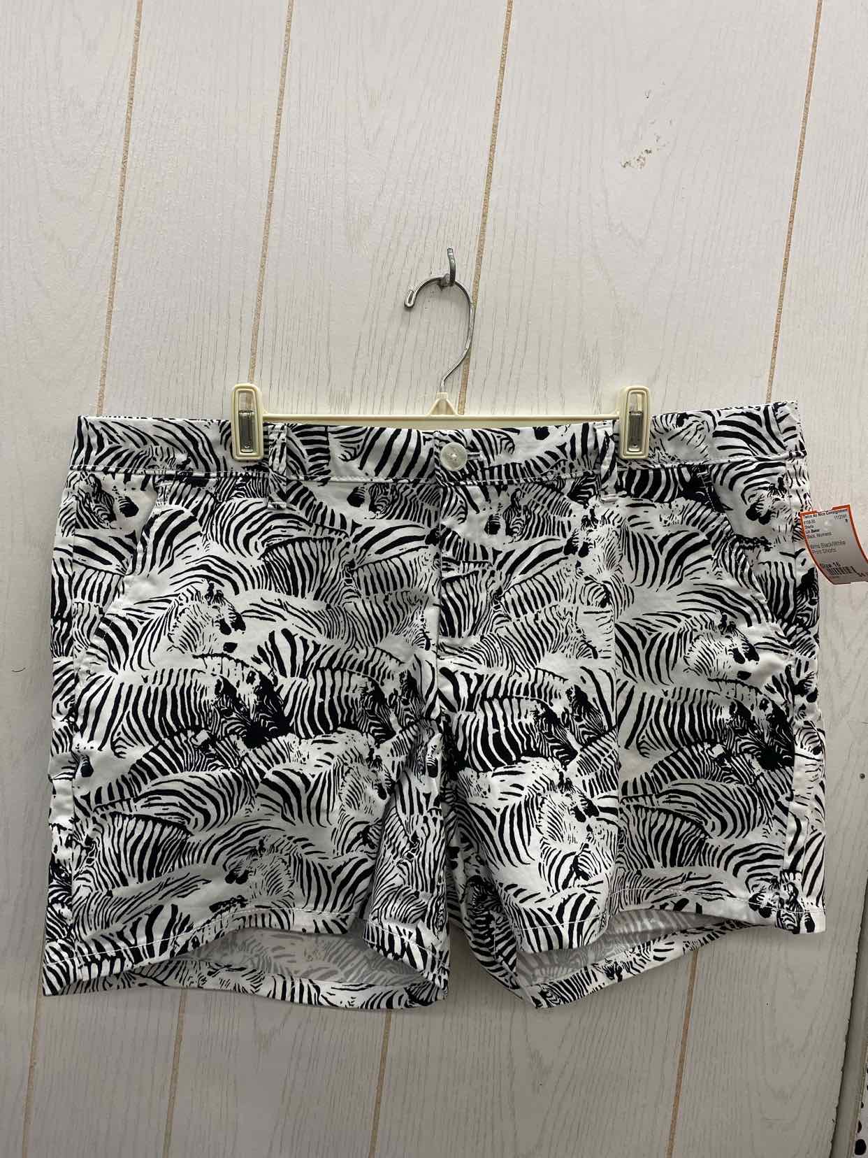 Liz Baker Black Womens Size 16 Shorts