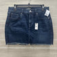 Express Size 8 Blue Womens Skirt