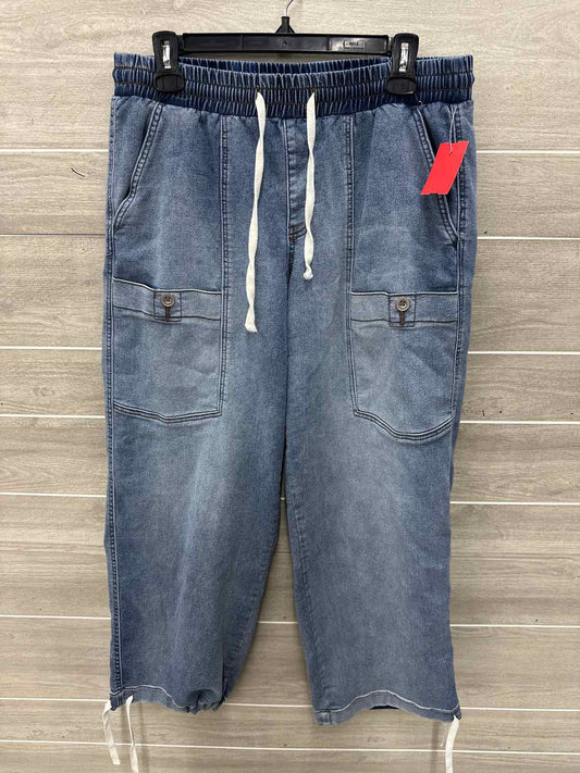 Size 12 Blue Womens Jeans