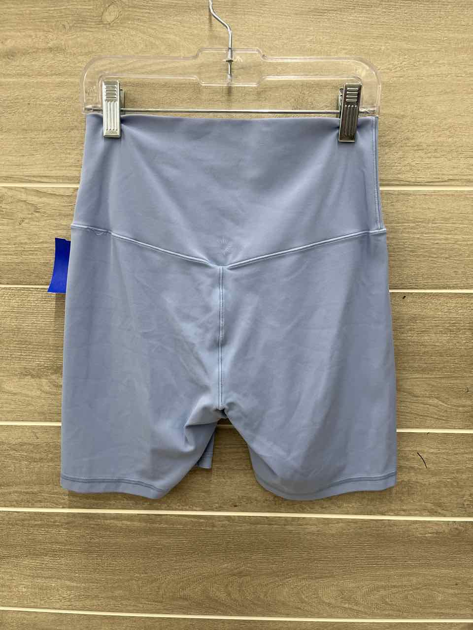 AERIE Size M Blue Womens Shorts