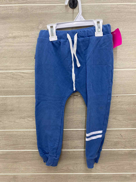 Olive & Scout Boys Size 4T Pants