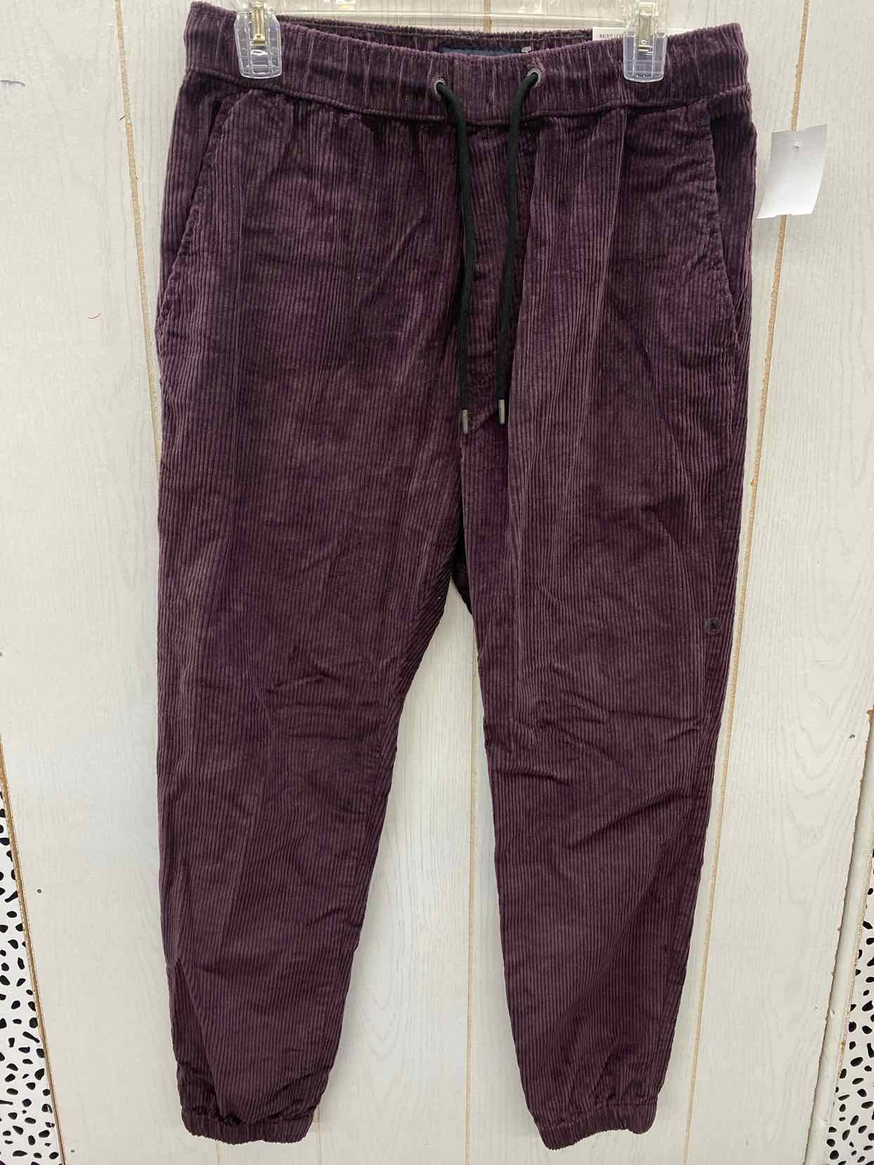 American Eagle Size 28-30 Mens Pants