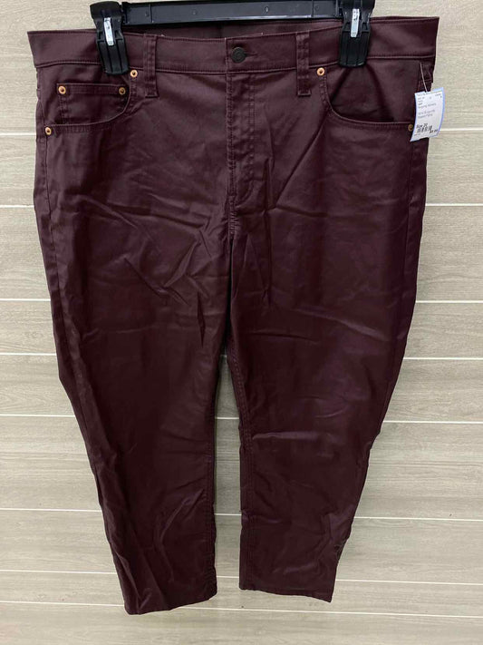 GAP Burgundy Womens Size 20 Pants