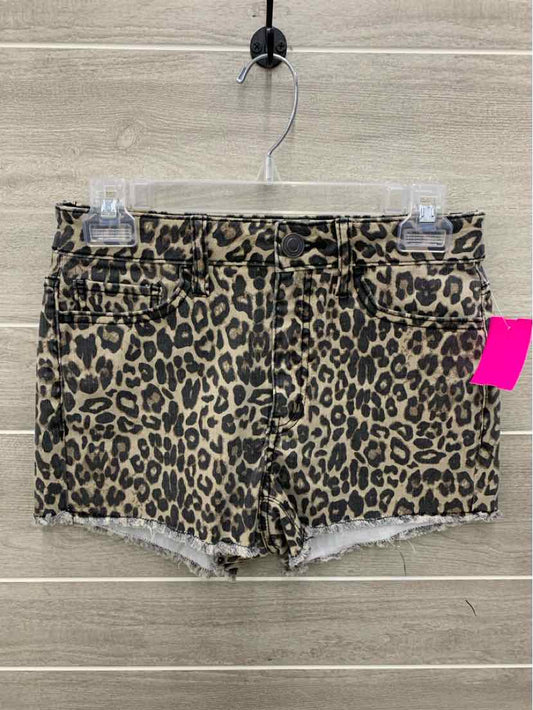 So Tan Junior Size 5 Shorts