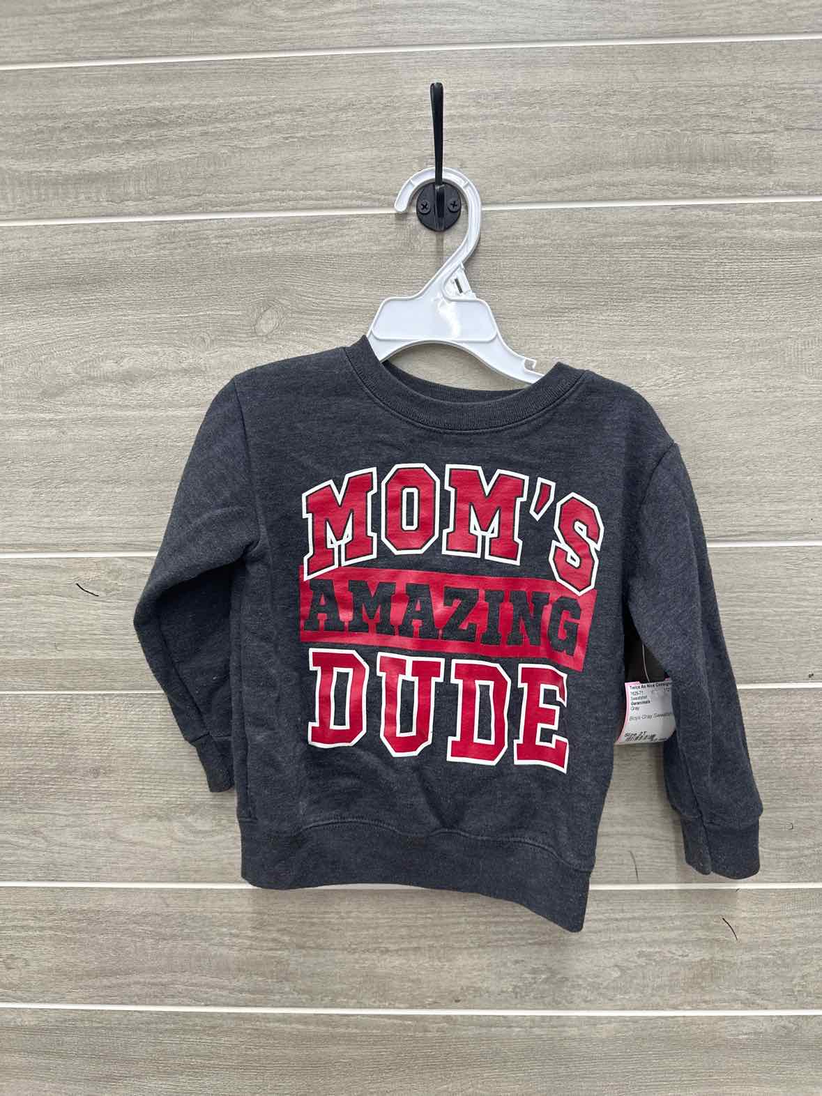 Garanimals Boys Size 2T Sweatshirt