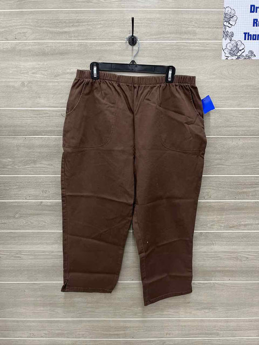 D & Co Size 20P Brown Plus Pants