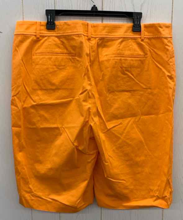 Talbots Orange Womens Size 18 Shorts