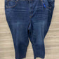 Terra & Sky Size 4X Blue Plus Jeans