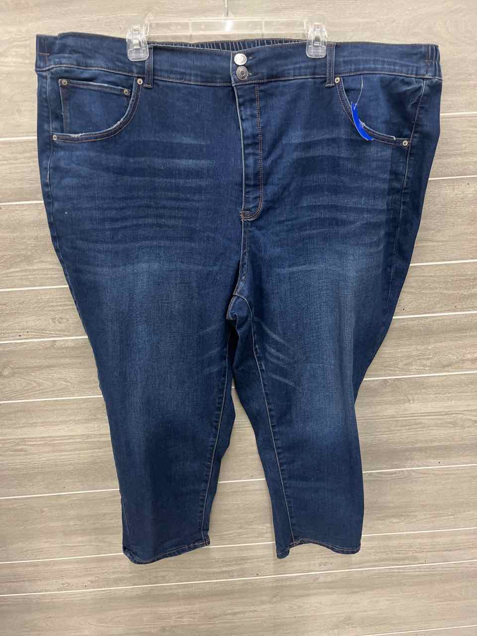 Terra & Sky Size 4X Blue Plus Jeans