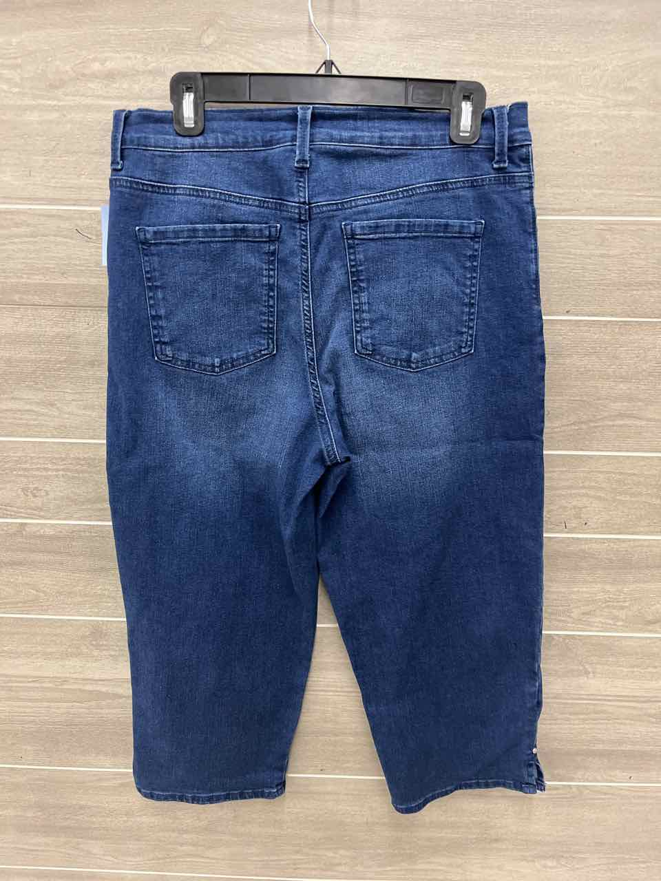 Gloria Vanderbilt Size 10 Blue Womens Jeans