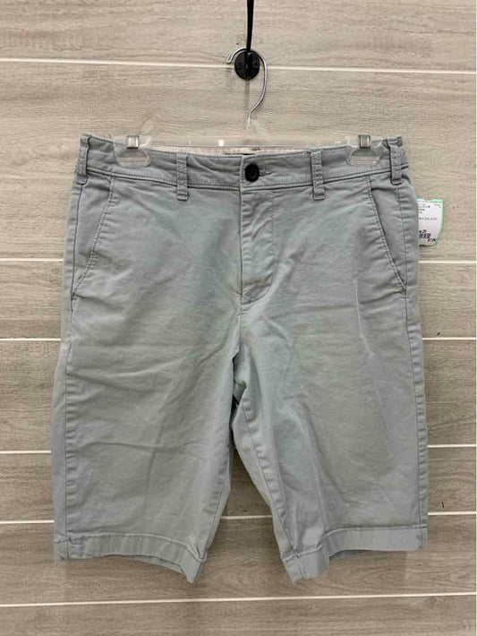 Hollister Size 29 Mens Shorts