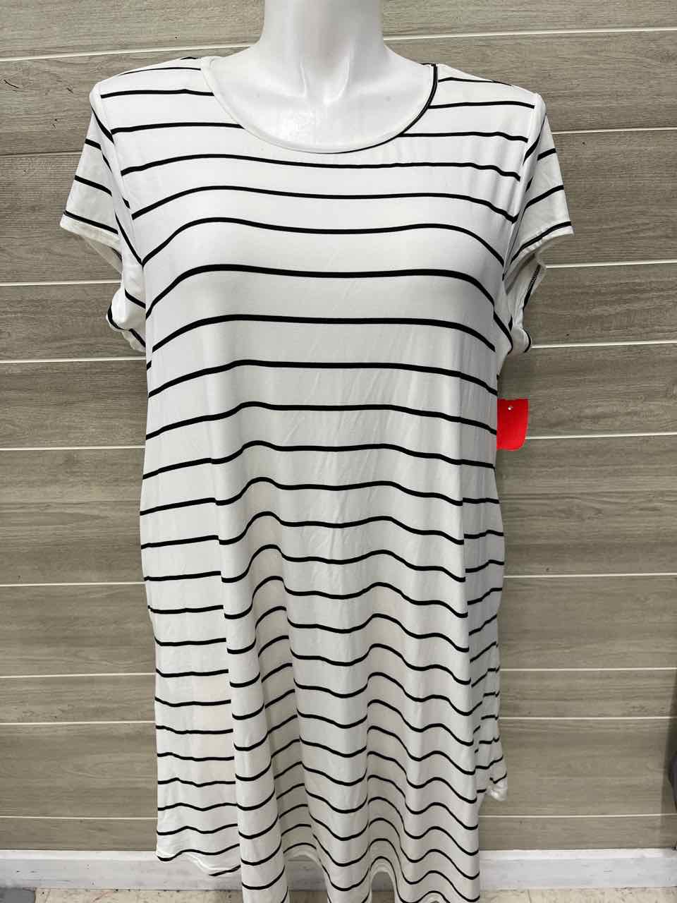 Lark + Grey Size 3X White Plus Dress