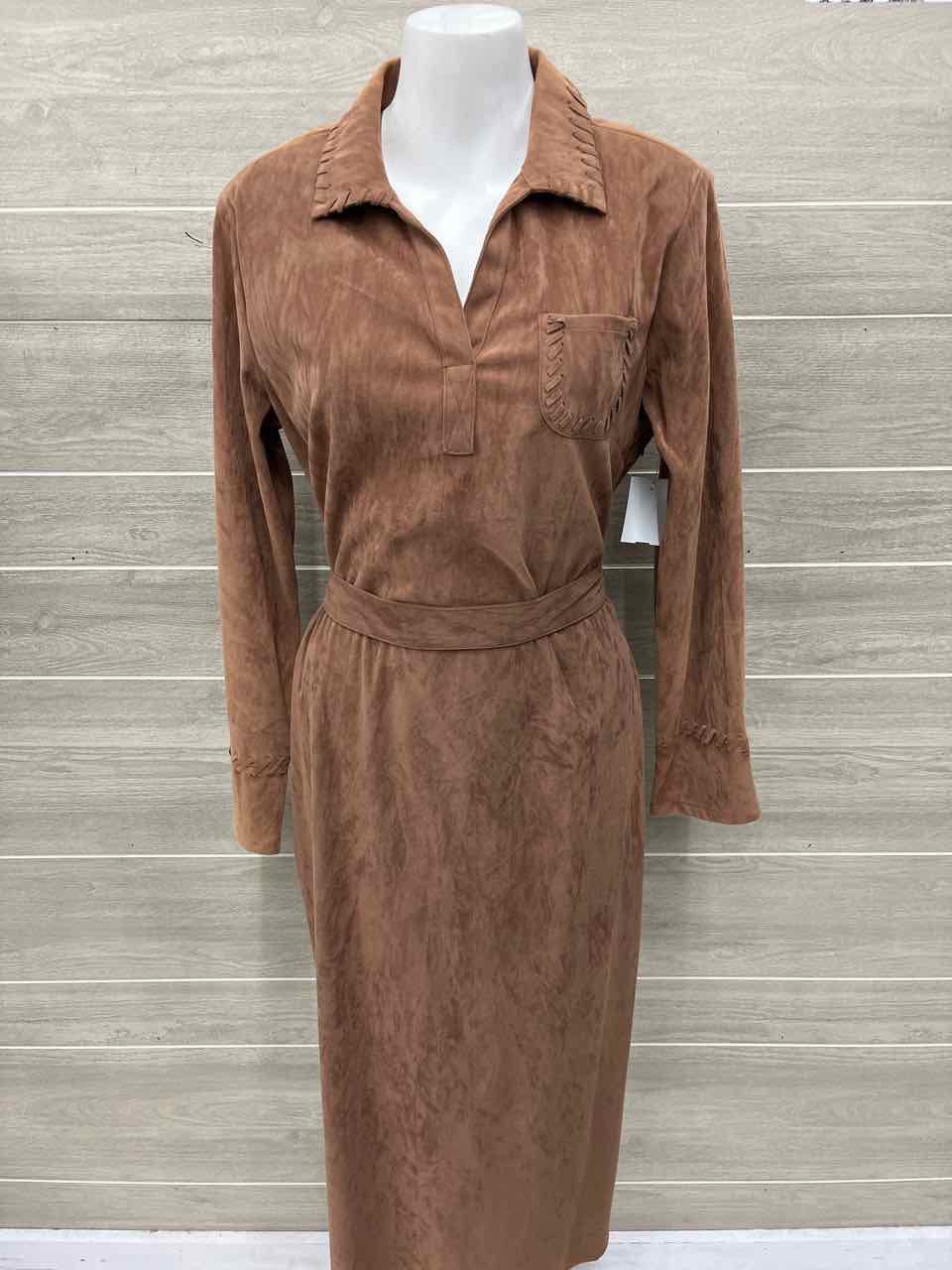Size 10P Brown Petite Dress