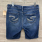 Silver Blue Womens Size 6/8 Shorts
