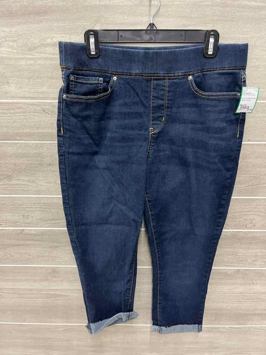 Levis Signature Size 12 Blue Womens Jeans