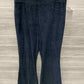 AERIE Size L Black Womens Pants