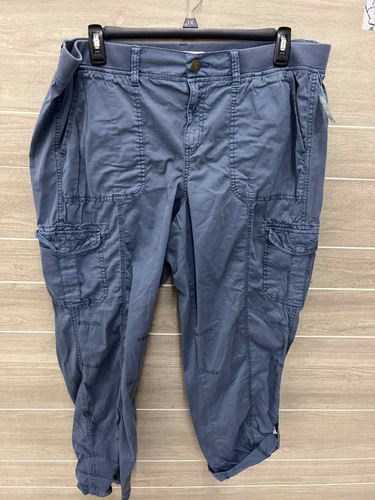 Sonoma Size 18W Blue Plus Pants