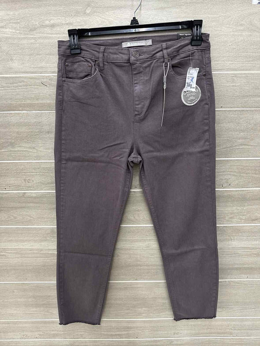Tractr Gray Womens Size 12 Pants