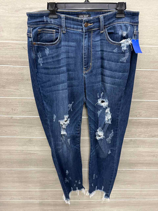 Judy Blue Size 16W Blue Womens Jeans