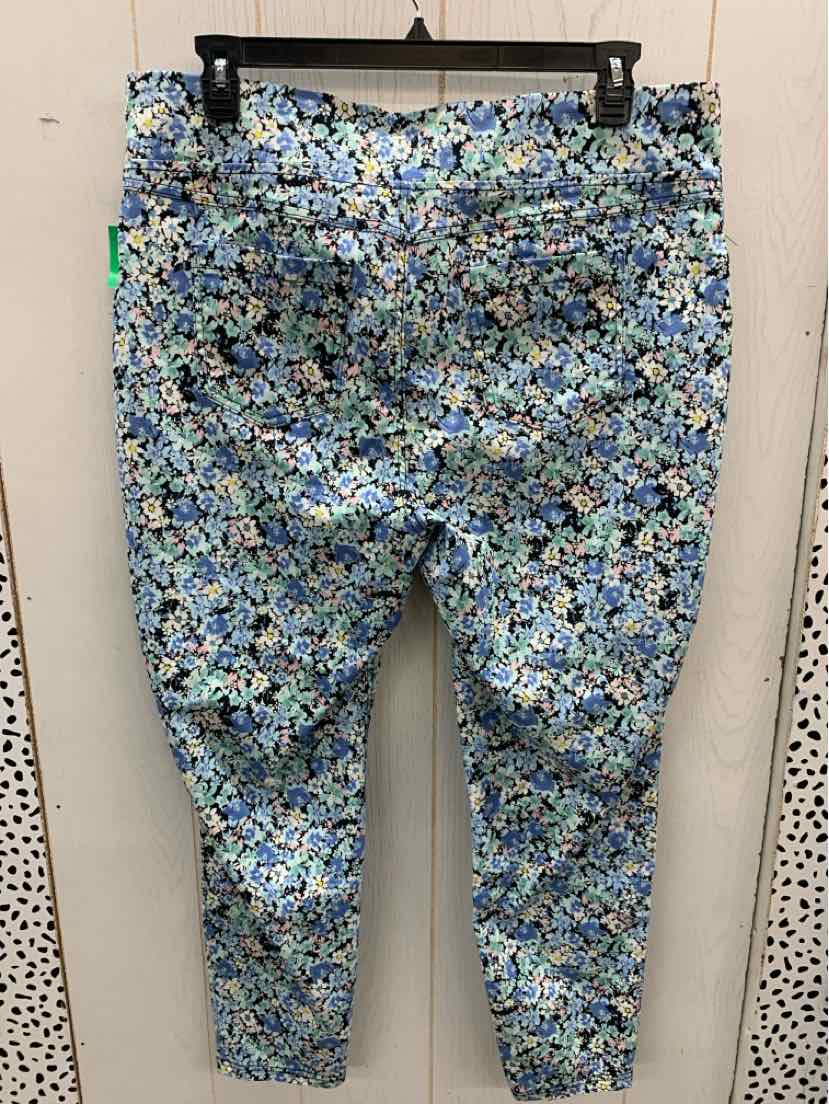 Terra & Sky Blue Womens Size 16W Pants