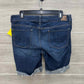 American Eagle Blue Womens Women Size 12 Shorts