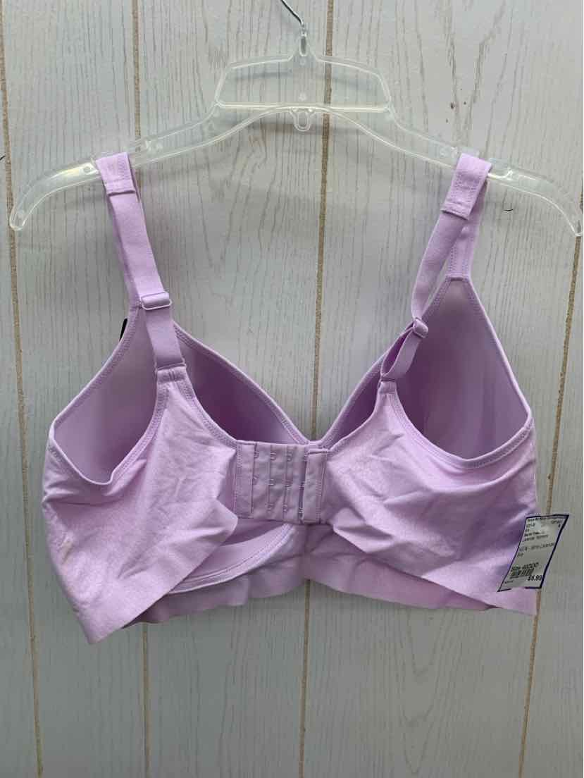 Secret Treasures Lavender Womens Size 40DDD Bra