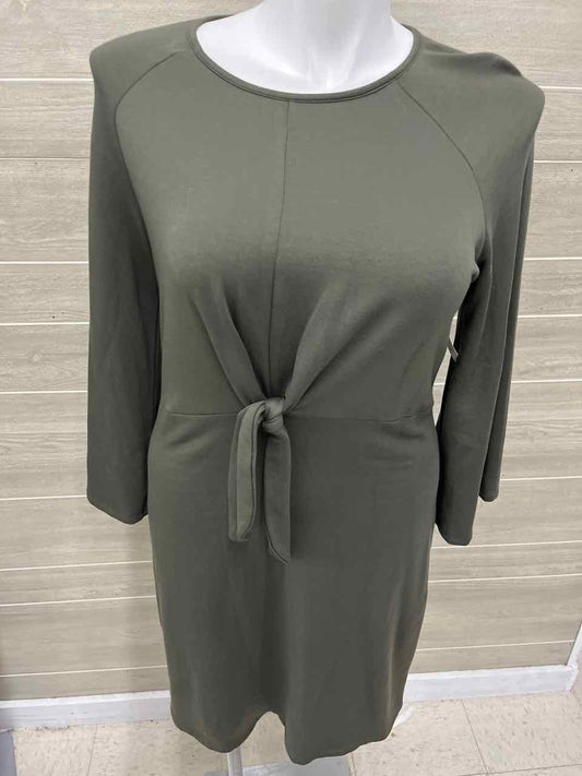 Maurices Size 12 Olive Womens Dress