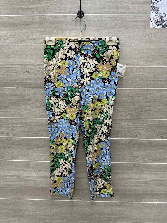Jules & Leopold Multi-Color Womens Size 6 Leggings