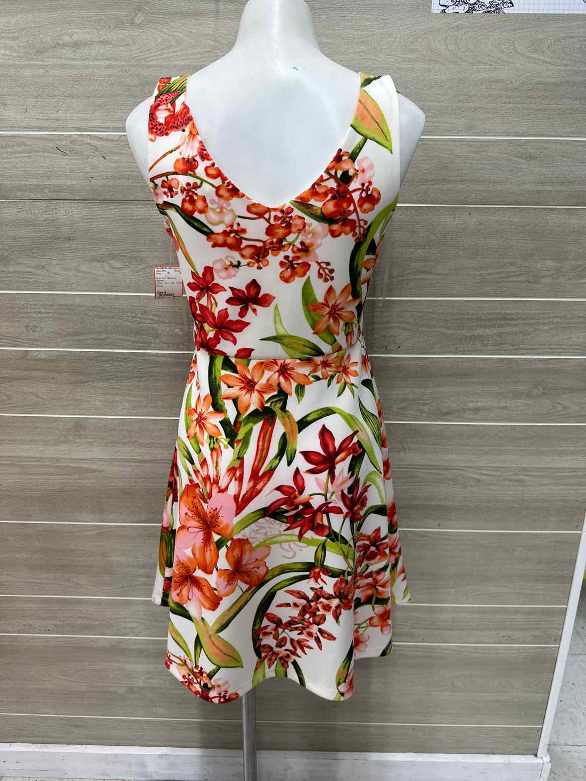 Size 8 Multi-Color Womens Dress