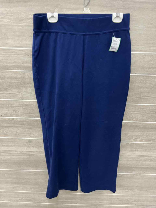 Lands End Size 12P Navy Petite Pants