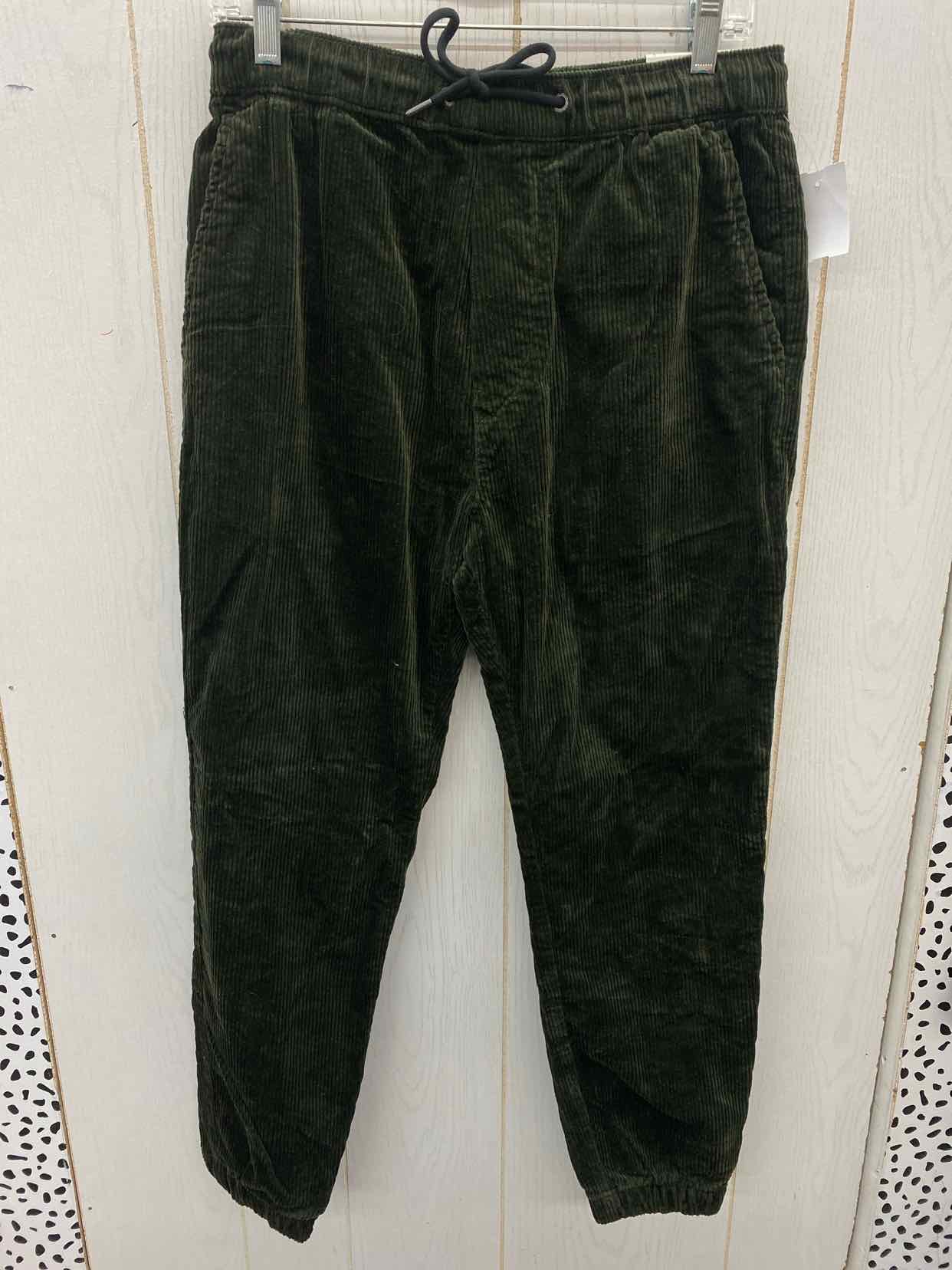 American Eagle Size 28-30 Mens Pants