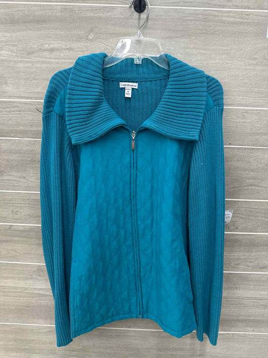 Croft & Barrow Blue Womens Women Size 1X Sweater