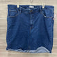 Ava & Viv Size 22W Blue Plus Shorts