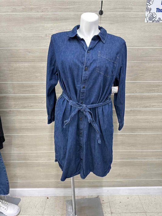 Ralph Lauren Blue Womens Women Size 3X Dress