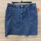 Christopher & Banks Blue Womens Women Size 12 Skirt