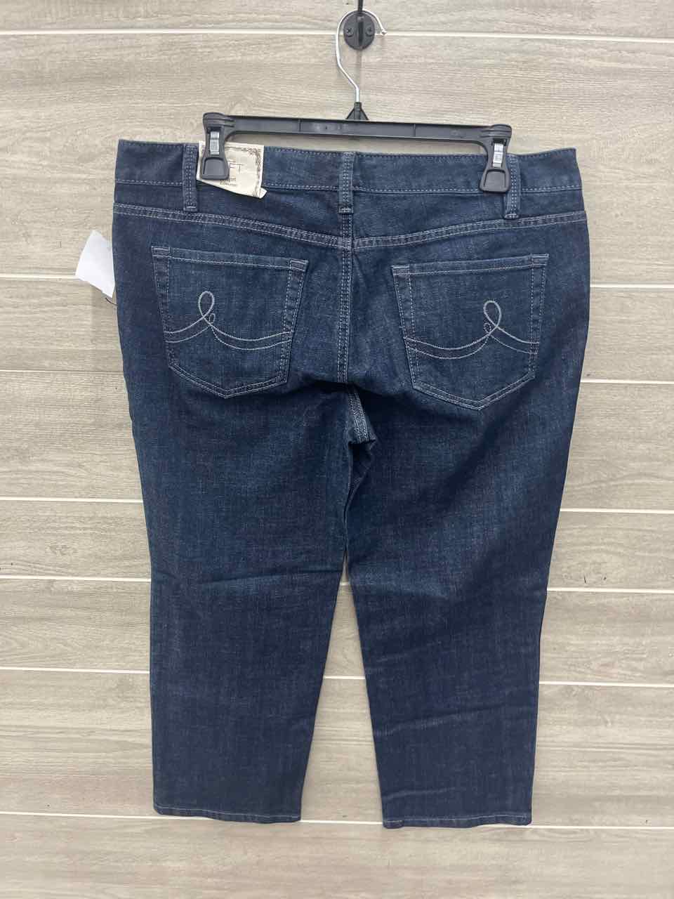 LOFT Size 10/12 Blue Womens Jeans