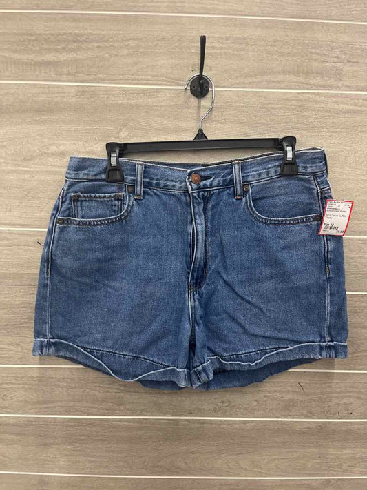 American Eagle Size 12 Blue Womens Shorts