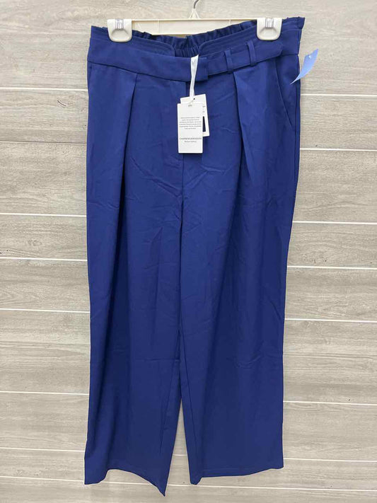 Size 10/12 Blue Womens Pants