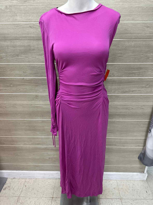 ZARA Size 2/4 Purple Womens Dress