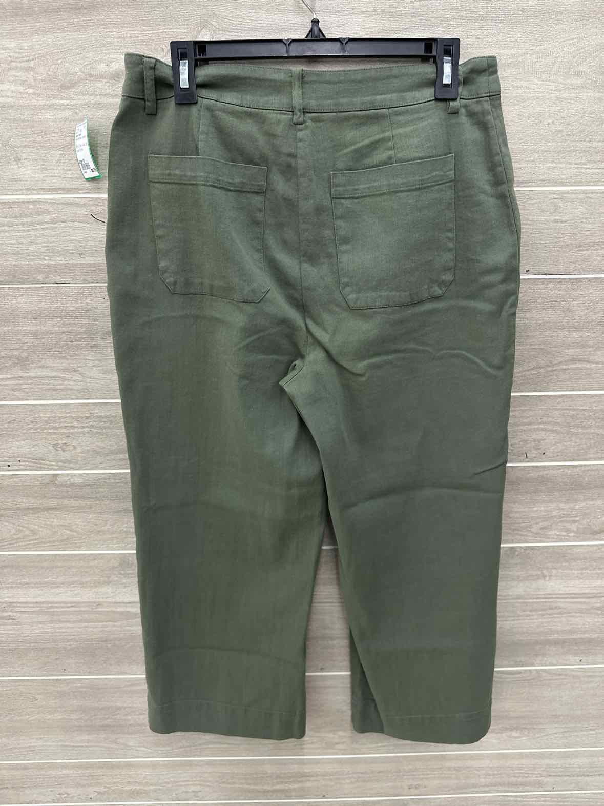 Adyson Parker Size 10 Olive Womens Pants