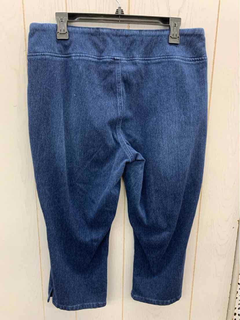 belle by Kim Gravel Blue Womens Size 16 Jeans