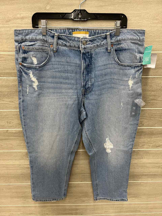 Maurices Blue Womens Women Size 16W Short Jeans
