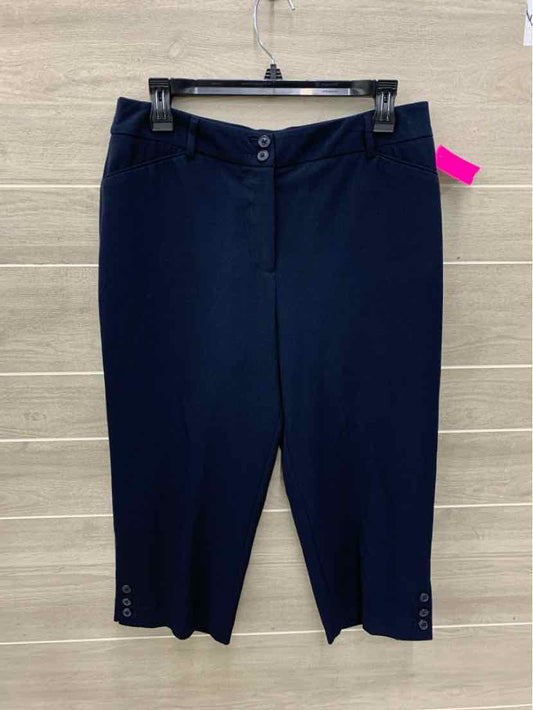 212 Collection Navy Womens Size 10P Pants
