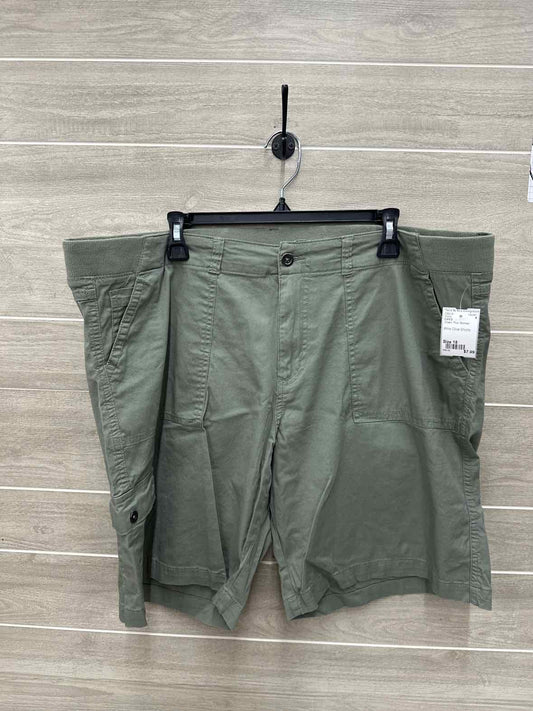 CG/CG Size 18 Green Plus Shorts