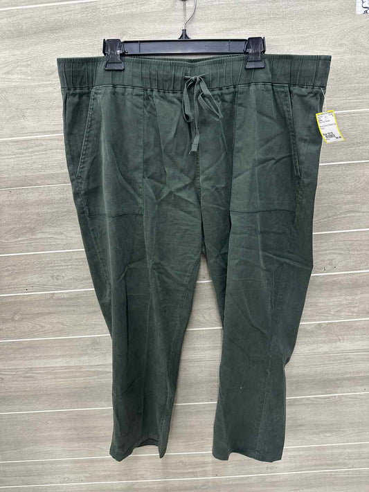 Buffalo Size 16/18 Olive Plus Pants