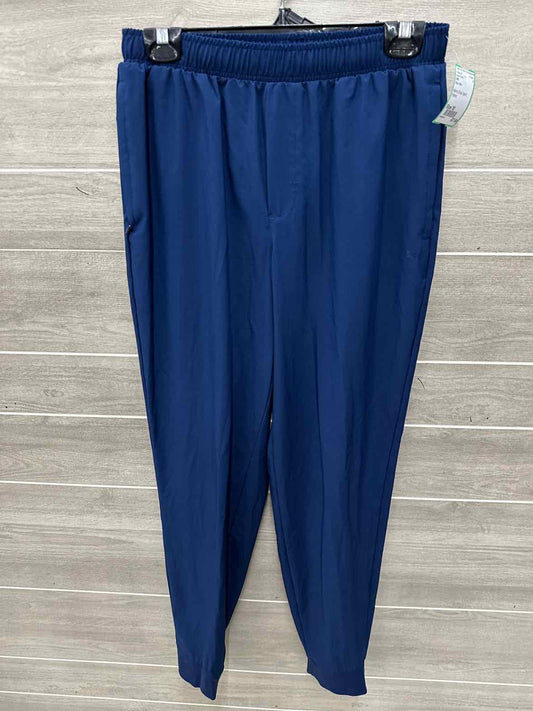 DSG Size 30 Men Mens Pants