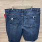 Terra & Sky Size 22W Blue Plus Shorts